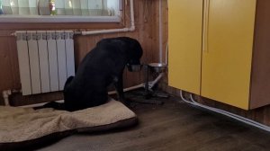 МАЙСКИЕ ПОЗДРАВЛЕНИЯ ОТ НАС.(мир, труд, май, снег и прочие приключения)