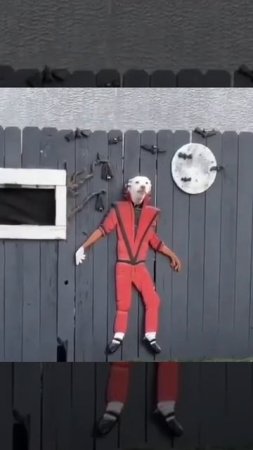 Такого Вы точно не видели.