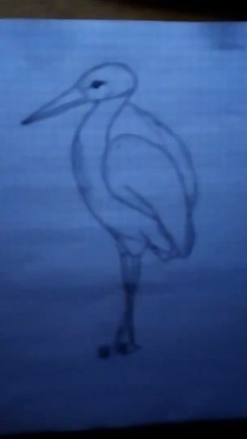 красавец аист смотреть онлайн