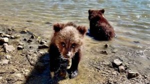 УРА! Топа и Кнопа официально открыли КУПАЛЬНЫЙ СЕЗОН!