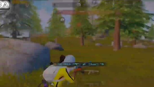 𝐒 𝐇 𝐔 𝐁 𝐀 MOMENTS😱, РОЗНОСИМ ЛИВИК🥵😏, 60ФПС 11 PRO MAX