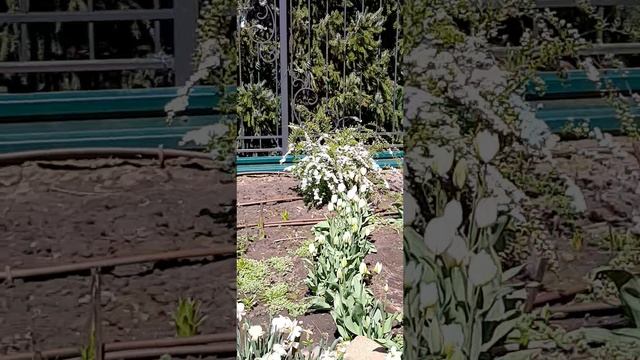 04-05-2025 3 мая красоты Дивеево