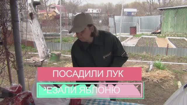 АРХИВНОЕ ВИДЕО АПРЕЛЬ 2022  Посадили лук Обрезали яблоню