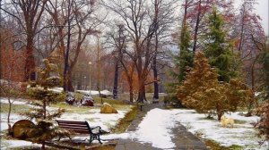 Песня  ЗАПОЗДАЛАЯ ВЕСНА 2025