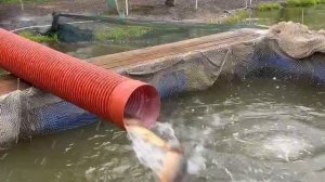 04.05.25 г. РК Волна