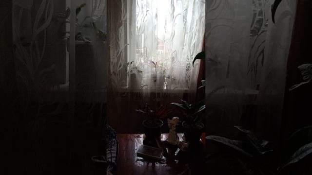 Таро.Почему мужчина молчит.
