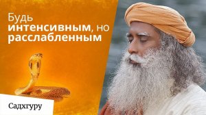 Чтобы познать жизнь, стань как кобра