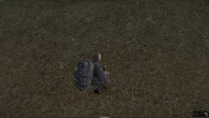 AnomalyZone баг квеста Время собирать камни!sZoneOnline)