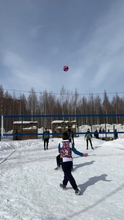 Снежка