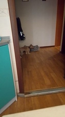 он так стоит 10 минут 😱