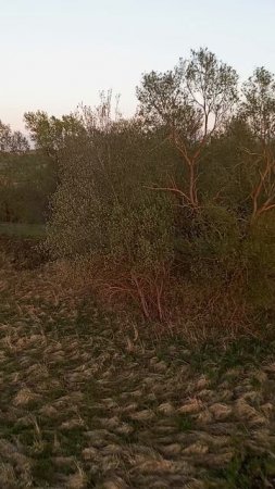 Полет на воздушном шаре_6