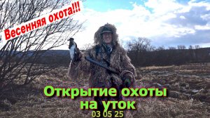 Открытие охоты на уток 03 05 25