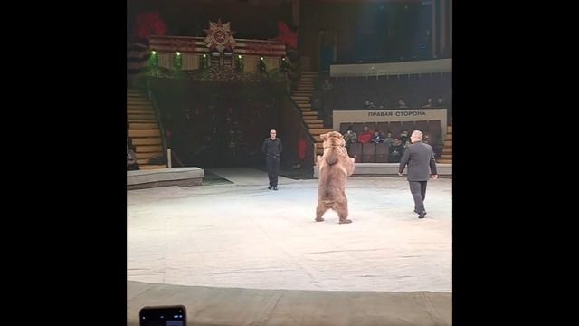 Донецкий Цирк Космос 80 лет Великой Победе