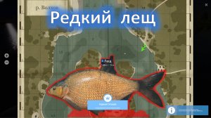 Русская рыбалка4-Лещ-волхов поймал(редкий вид) МИРОВОЙ РЕКОРД