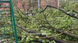 Долгопрудный,май 2025