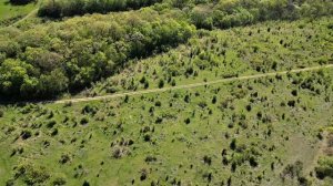 copy_9DFE56CA-5432-40B6-BA48-E204B09B64BF