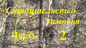 Строительство зимовья. Часть 2