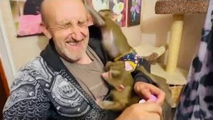 КЛАССНОЕ ВИДЕО! Влад и его три обезьяны, всем нужно повышенное внимание, ЛЮСЬКА РУЛИТ!