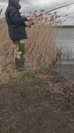 Чувствуется трофей!