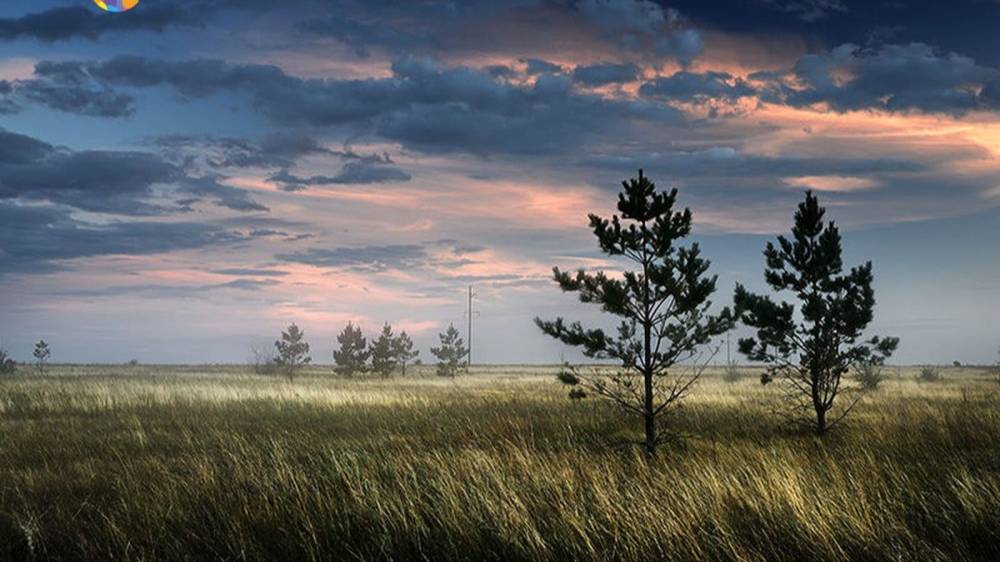 Песня "Тишина ". Кавер смотреть онлайн