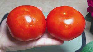 ЭТОТ САЛАТ БЕСПОДОБЕН! САЛАТ ВЕСНА ЗА 5 МИНУТ! ГОТОВЛЮ КАЖДЫЙ ДЕНЬ НЕ НАДОЕДАЕТ!