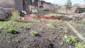 Небольшая болталочка.Обзор огорода. Манник.