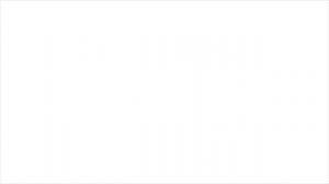 Спокойной ночи
 мой любимый котик:)❤❤😍😍