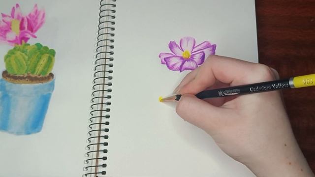 Как нарисовать цветы цветными карандашами 🌺 смотреть онлайн