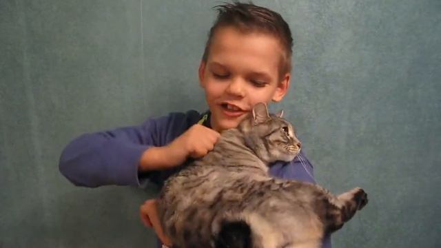 Обзор на Кошку смотреть онлайн