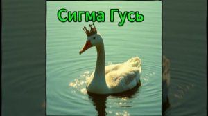 Кокорока23 - "Сигма гусь"