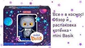 Все - в космос! Обзор и распаковка котёнка mini Basik