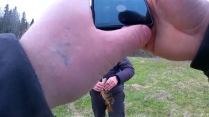 30.04.25 спиннинг, окунь.