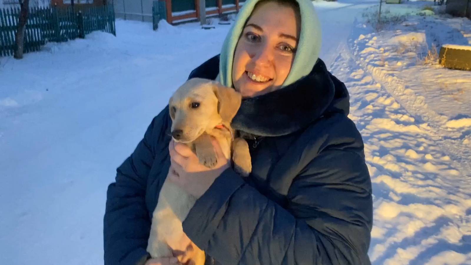 Сестра приютила бездомного щенка. Теперь у нее появился маленький друг смотреть онлайн