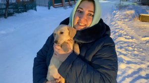 Сестра приютила бездомного щенка. Теперь у нее появился маленький друг