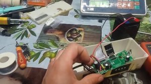 беспроводные торговые весы не подключаются к платформе.