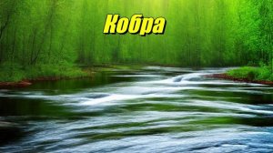 Кобра