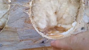 ОСБ/ОСП. Паропроницаемость 0%.Как у плёнки.