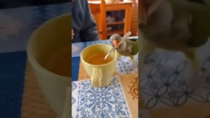 Денис Клявер - Друзья родителей - мои друзья