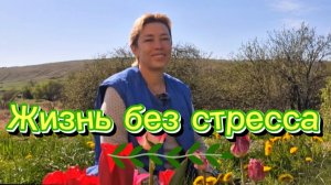 Жизнь без стресса