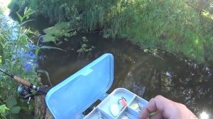 Вот так рыбалка в ручье!!!В этом ручье полно рыбы!Рыбалка на спиннинг.