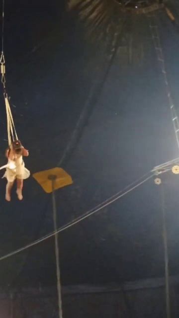 Под куполом цирка 