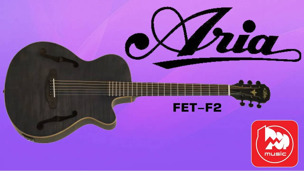 Электроакустика Aria FET-F2