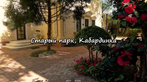 Старый парк, Кабардинка, Геленджик. 27 апреля 2025