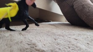 ШЛЯЙХ СЕРИАЛ "Мудрость"/2 серия