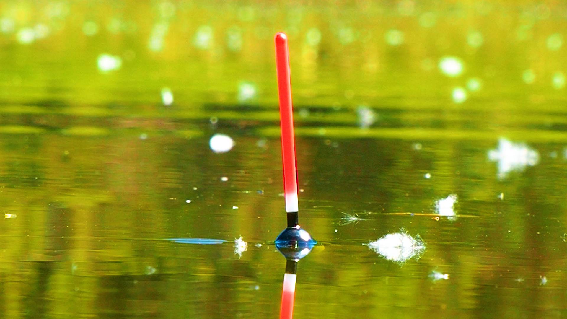 РЫБАЛКА НА ПОПЛАВОК! ЛОВЛЮ КАРАСЕЙ НА ЛЕСНОМ ОЗЕРЕ! Рыбалка на удочку смотреть онлайн