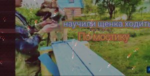 Почти научились ползать