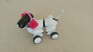 Ягода малинка