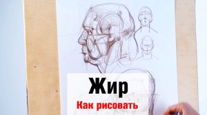 Как рисовать Жир - А. Рыжкин
