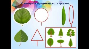 Урок 4. Мастер Изображения учит видеть.