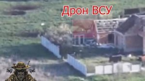 Запорожский фронт. н.п.Новоданиловка